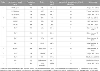 Silage maize as a potent candidate for sustainable animal husbandry development—perspectives and strategies for genetic enhancement